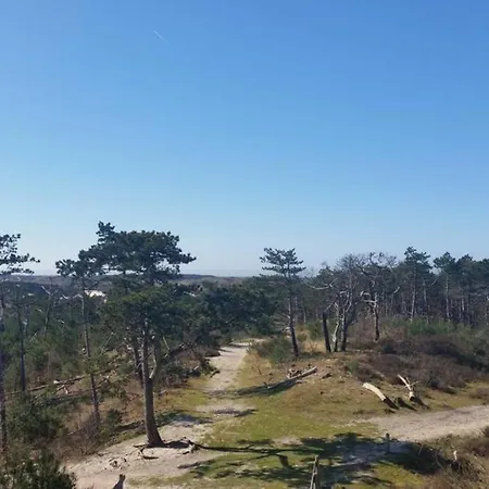 Bergen Nh, Schoorl, Schoorldam *