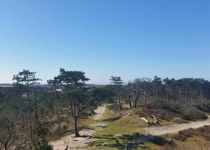 Bergen Nh, Schoorl, Schoorldam *