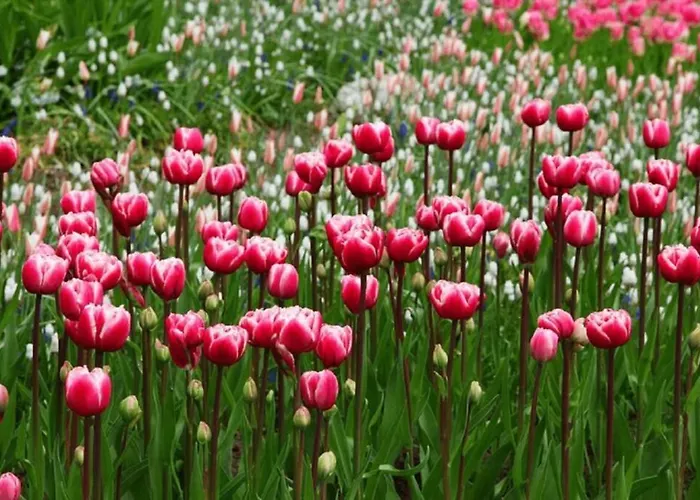 Bergen Nh, Schoorl, Schoorldam * Warmenhuizen