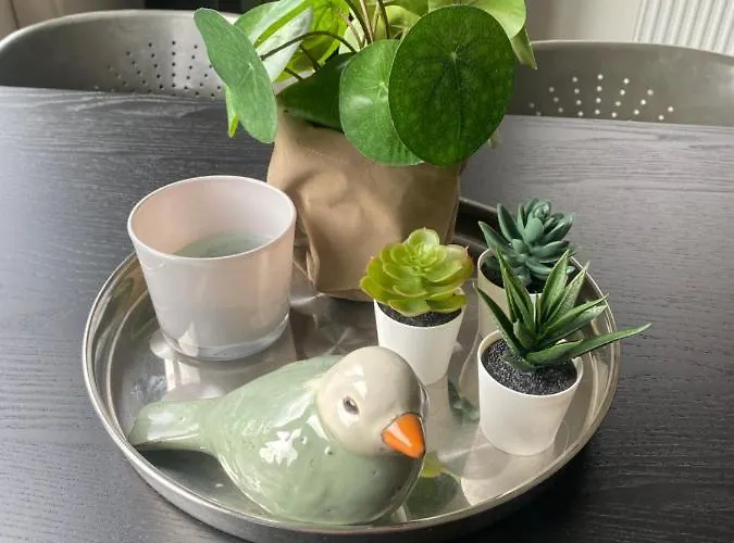 Dağ evi Bergen Nh, Schoorl, Schoorldam Warmenhuizen