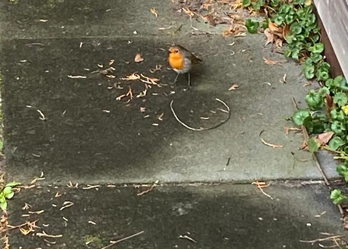 Bergen Nh, Schoorl, Schoorldam *