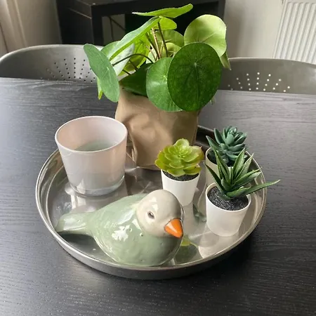 Chalet Bergen Nh, Schoorl, Schoorldam Warmenhuizen