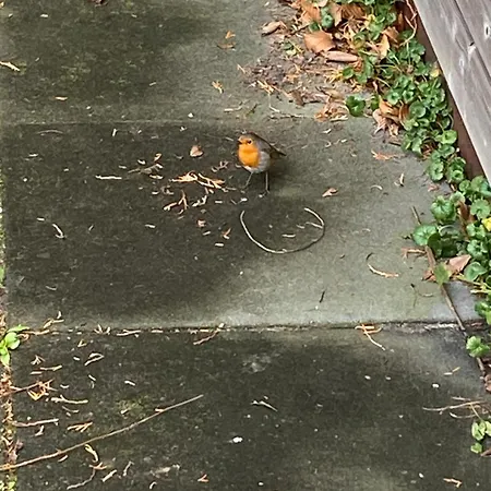 Bergen Nh, Schoorl, Schoorldam *